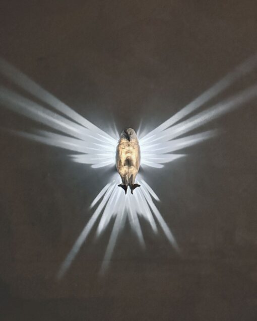 Magischer Adler LED Wandleuchte - Adlerflug Lichtspiel - Nachtlicht Wandlicht