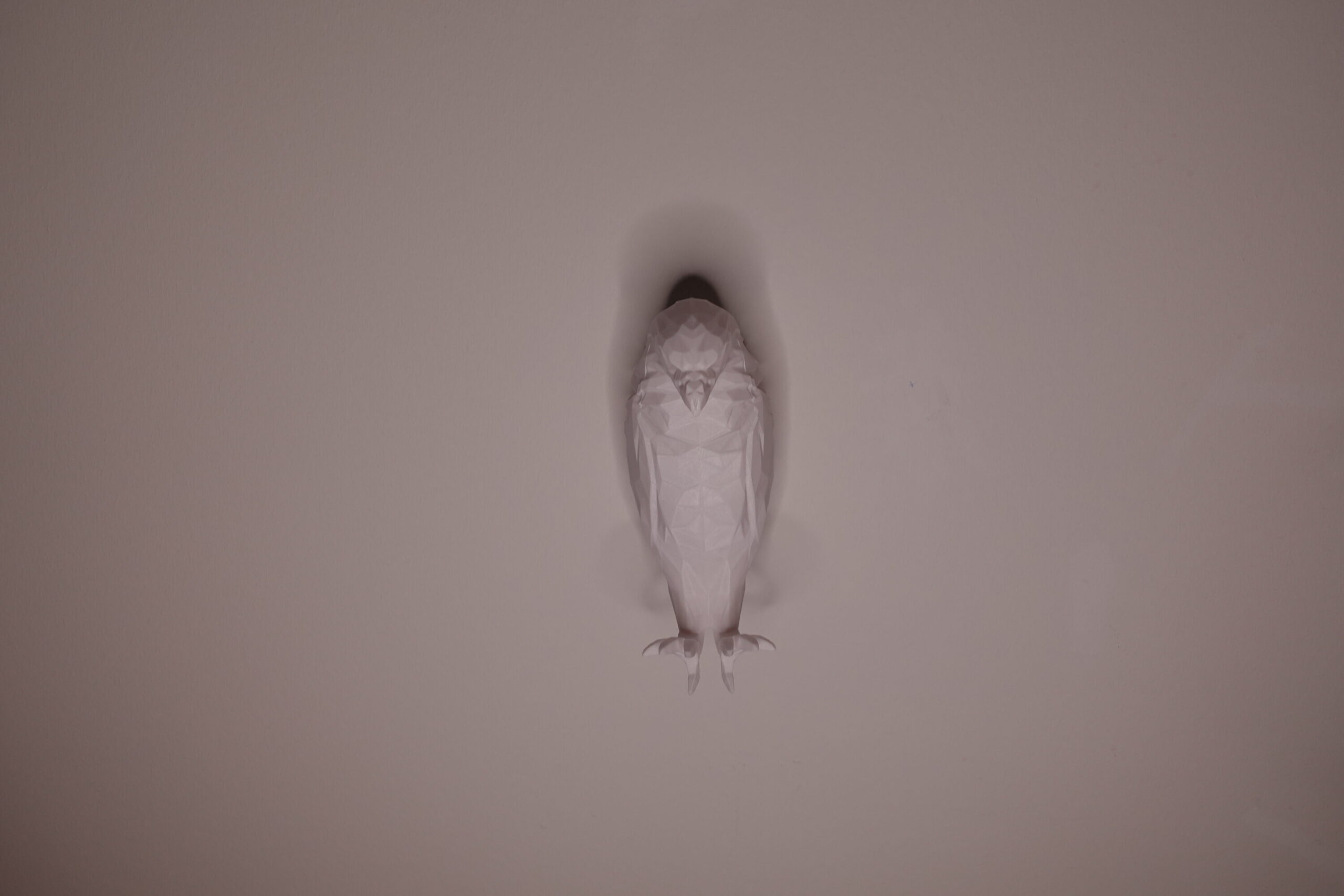 Magischer Adler LED Wandleuchte - Adlerflug Lichtspiel - Nachtlicht  Wandlicht