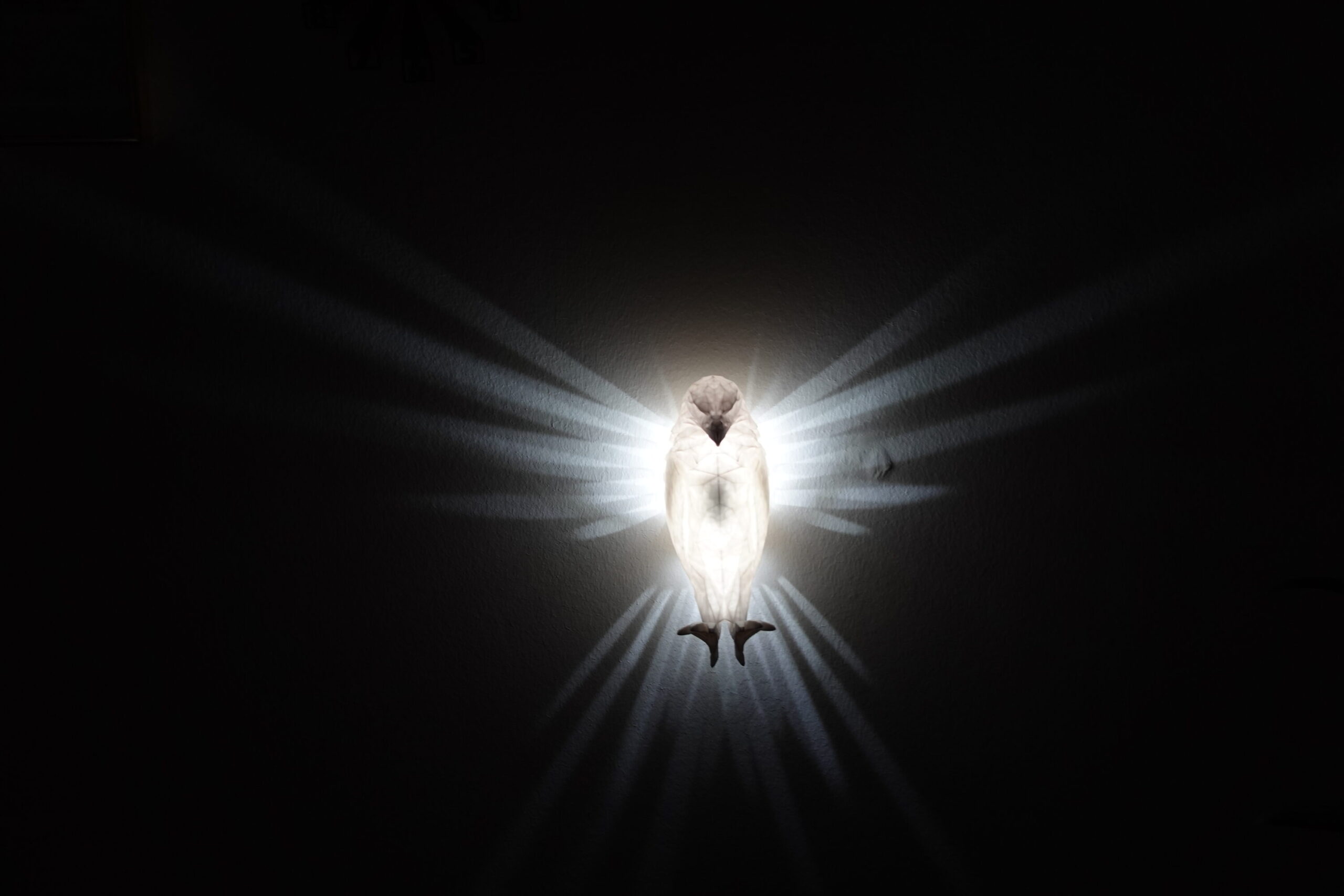 Magic eagle LED wall light - eagle flight light play - night light wall  light | 3DArounder